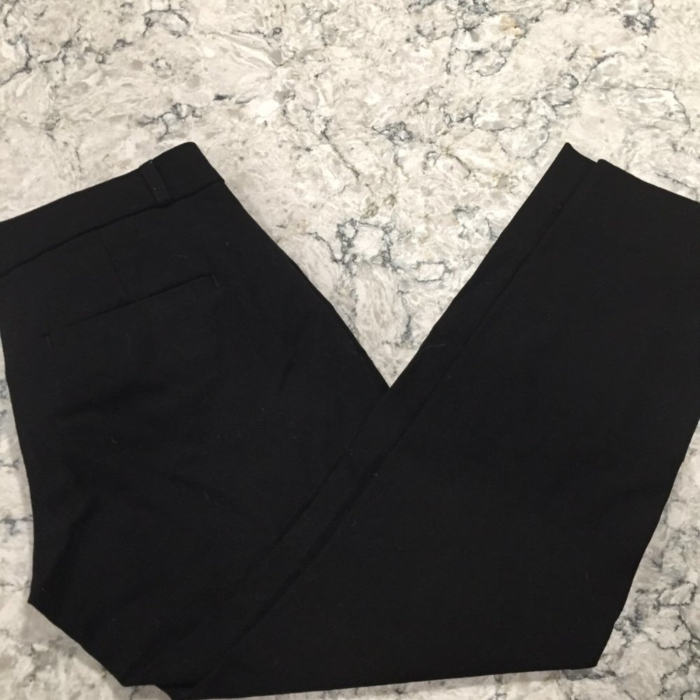 Banana Republic Sloan Plants Crop View 3